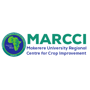 MARCCI