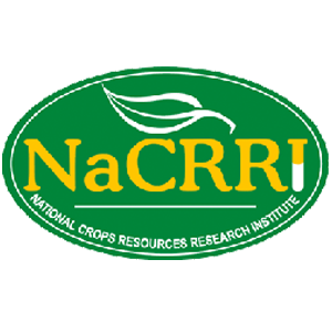 NaCRRI