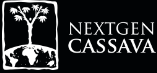 NextGen Cassava