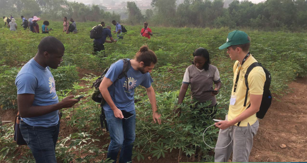 People in field