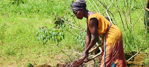 Woman farming