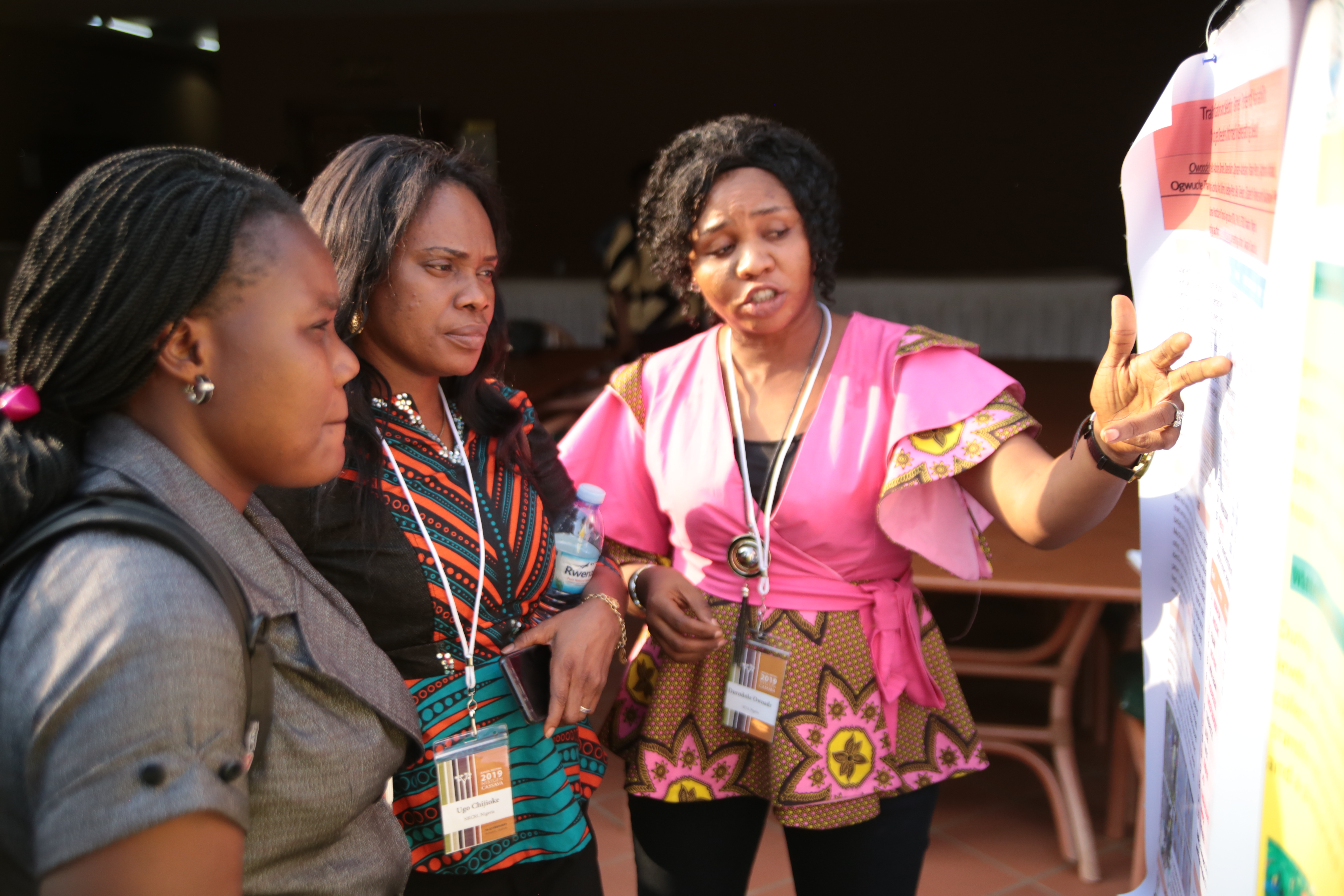 An ‘orphan crop’ comes into its own: International cassava experts convene in Uganda