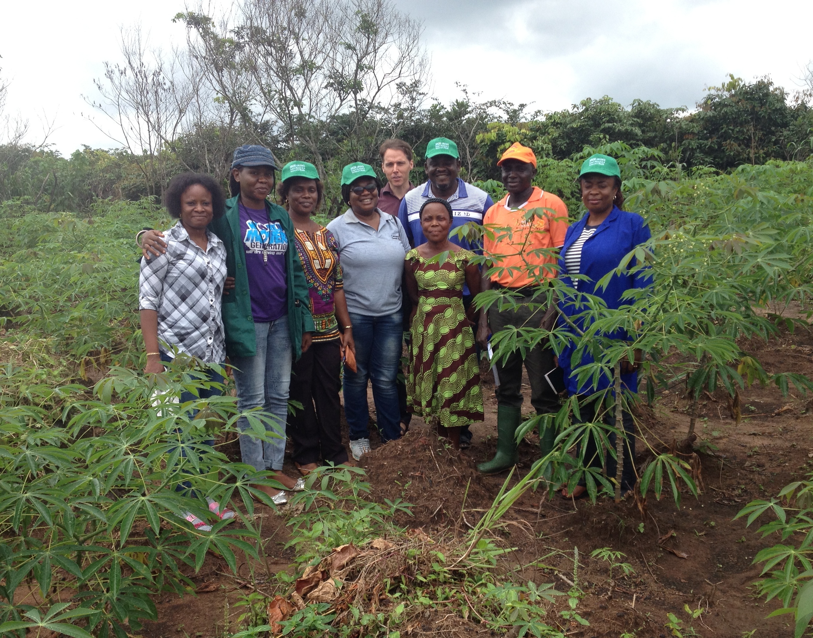 IITA survey division work in Nigeria