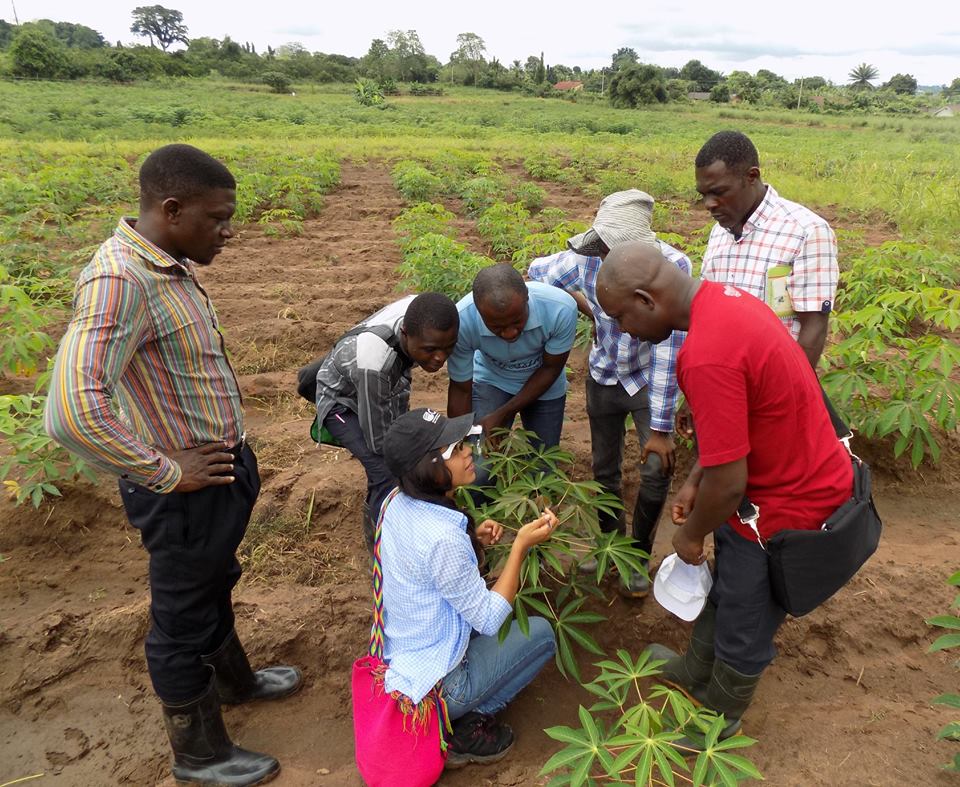 Partner Spotlight: International Center for Tropical Agriculture (CIAT), Colombia