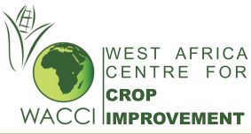 Partner Spotlight: The West Africa Centre for Crop Improvement (WACCI)